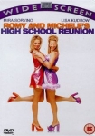 Romy and Michele's High School Reunion