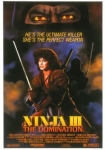 Ninja III The Domination